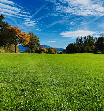 Golfen