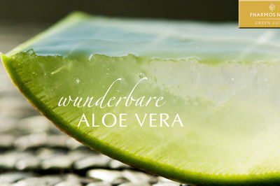 Aloe Vera Splash