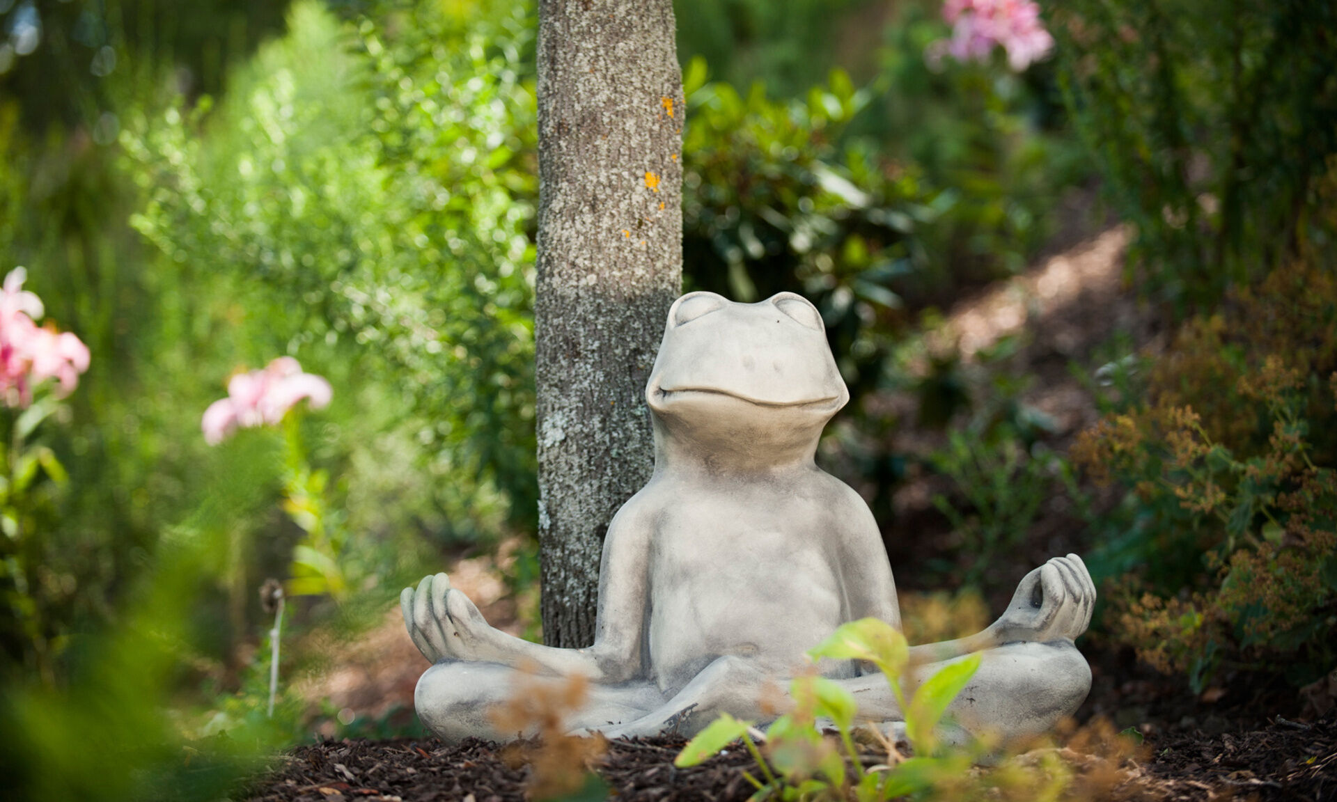Yoga Fan auch im GartenReich