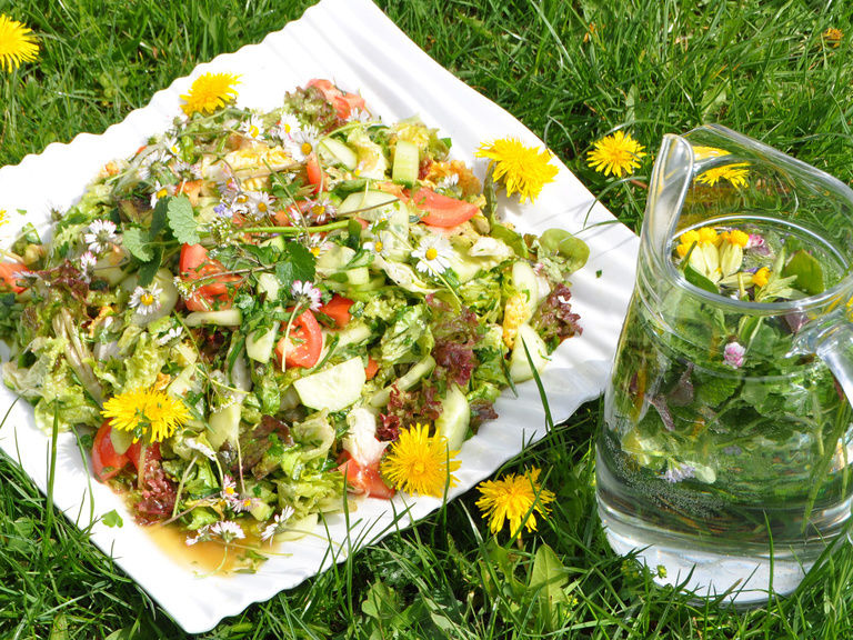 Frischer Salat aus dem Garten des Birkenhofs
